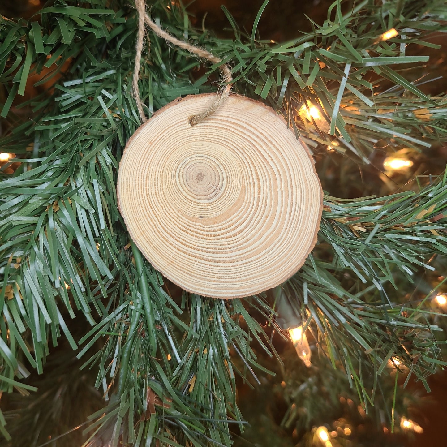 Watching the snow fall